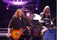 Artist Gov't Mule